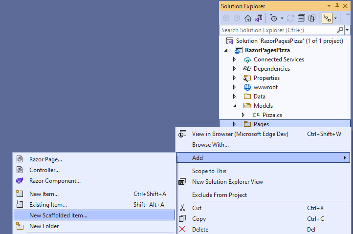 Solution Explorer