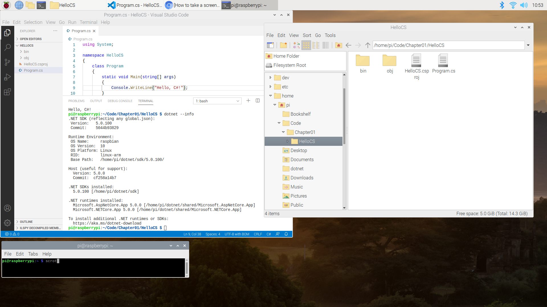 Raspberry Pi OS and Visual Studio Code